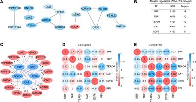 Regulatory Master Genes Identification and Drug Repositioning by Integrative mRNA-miRNA Network Analysis for Acute Type A Aortic Dissection